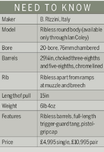 Rizzini Ribless round-body 20-bore reviewed by Shooting Times