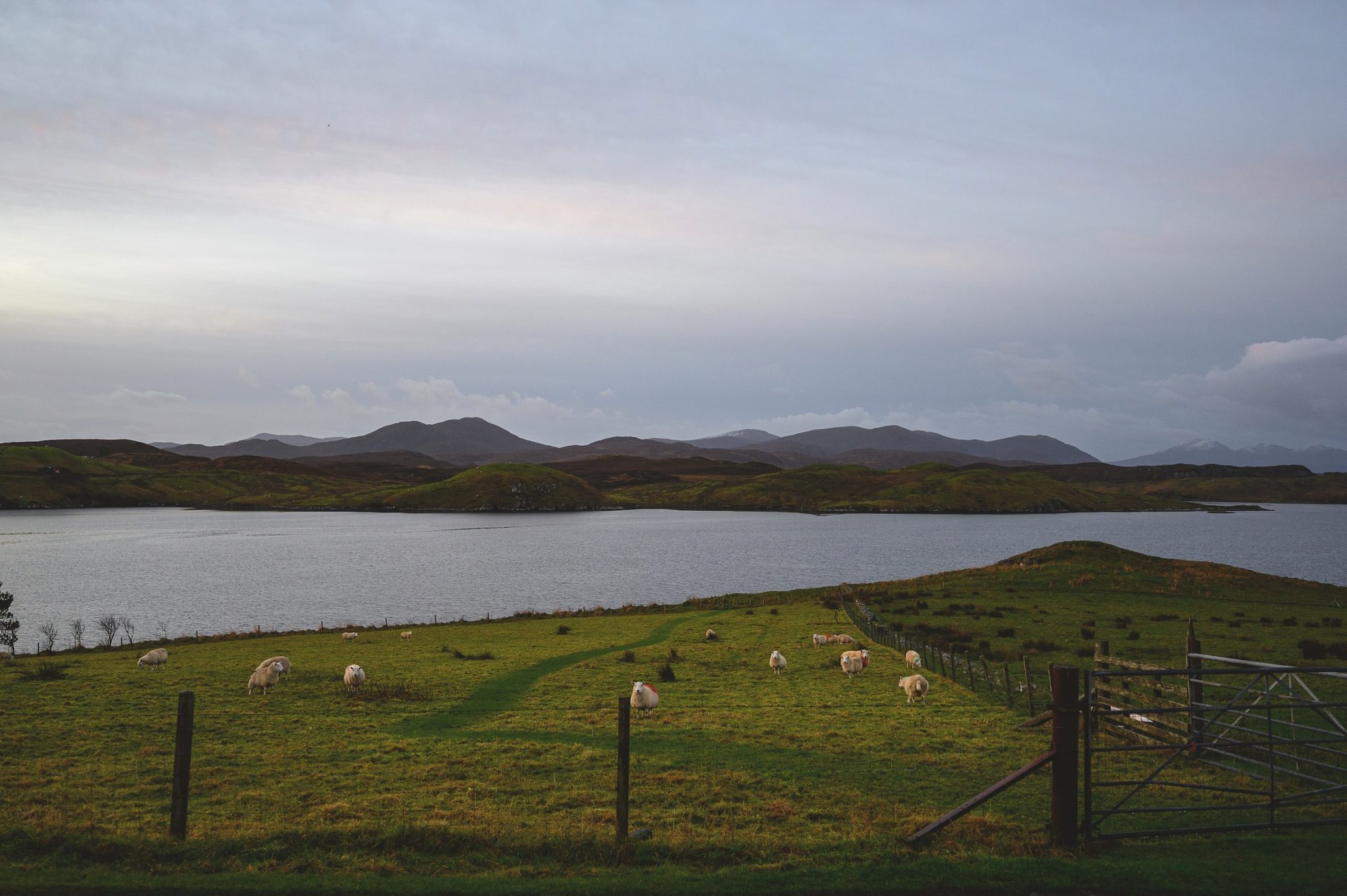 Experienced Grouse Keeper and Stalker required