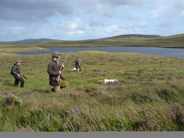 Experienced Grouse Keeper and Stalker required