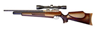 Logun Solo air rifle review