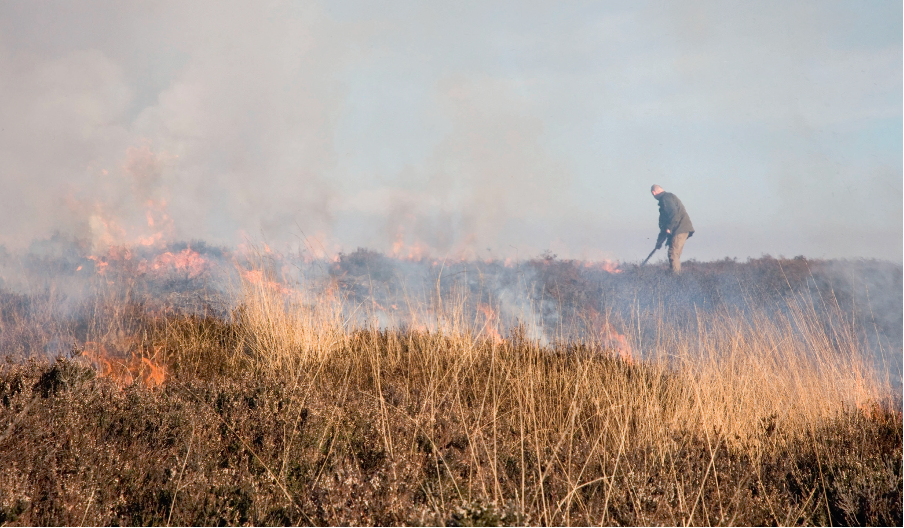 Keepers recognised as moorland custodians 