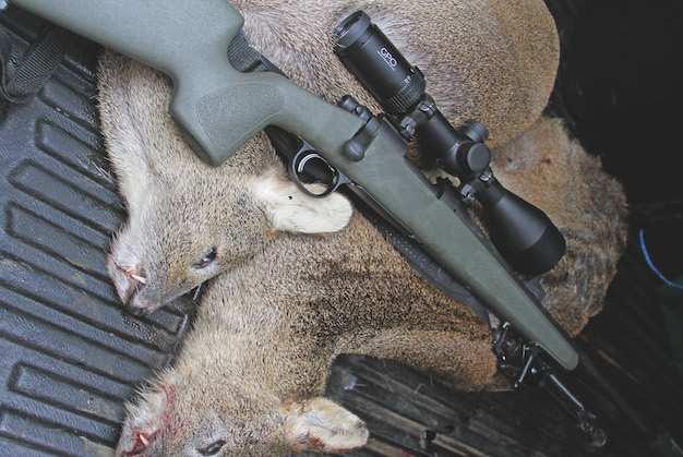 Remington 700 McMillan Sporter