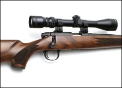 Remington 504 .22 rifle review