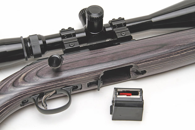 Ruger American Target .22 LR laminate