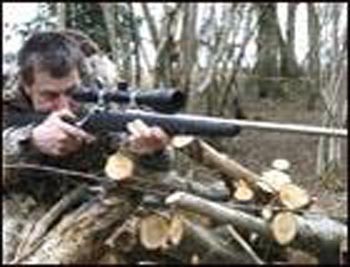 Savage Model 16 .243 rifle review