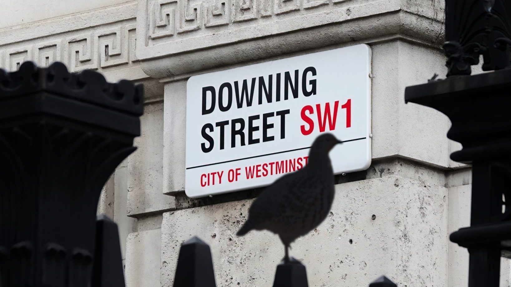 Anti-grouse shooting petition crushed by MPs who don&#8217;t even shoot