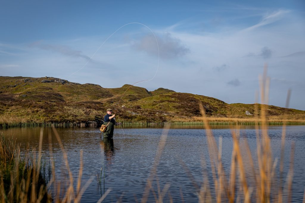 Proposed Welsh bill aims to protect nature 