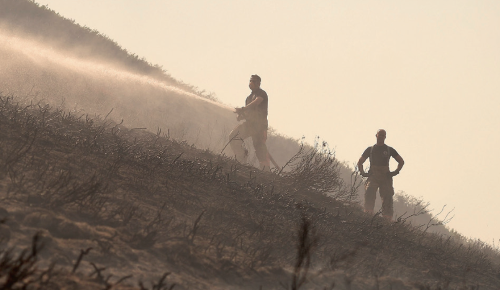 Rewilding and fires, a precautionary tale 