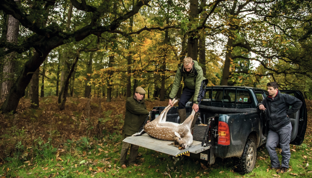 Applications open for 50% deer chiller trailer grants 