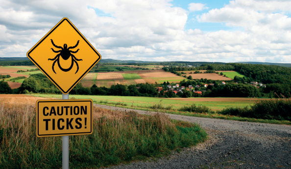 Tick Bite Awareness &#8211; The British Deer Society
