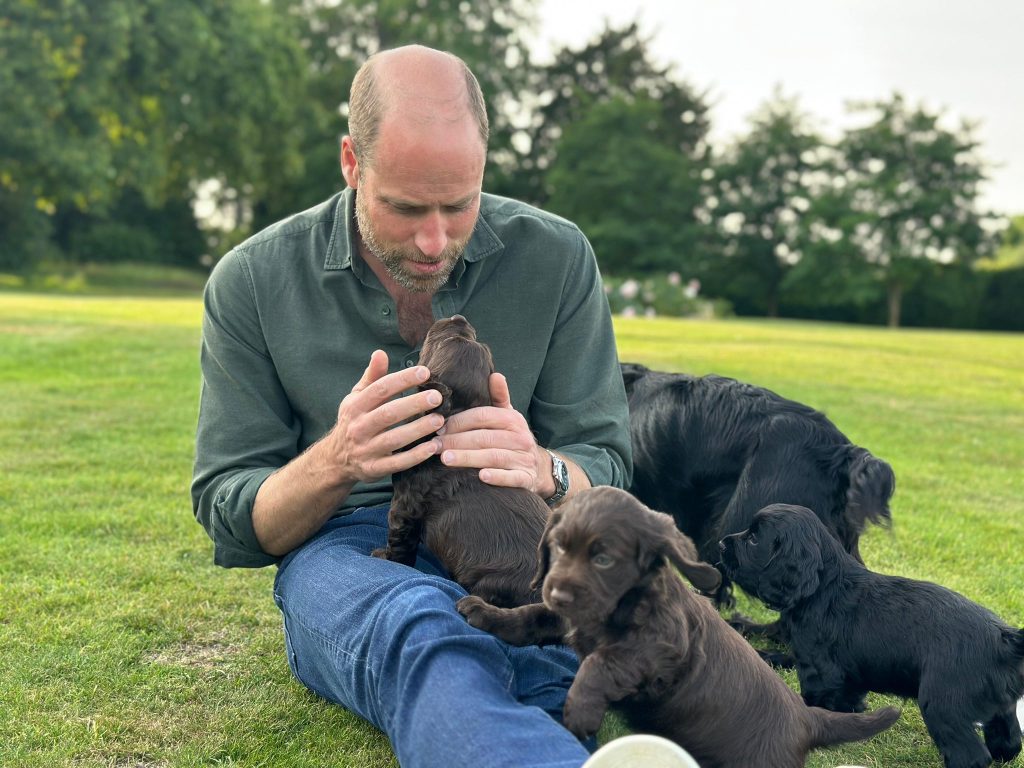 PETA attacks royal couple for breeding cocker pups