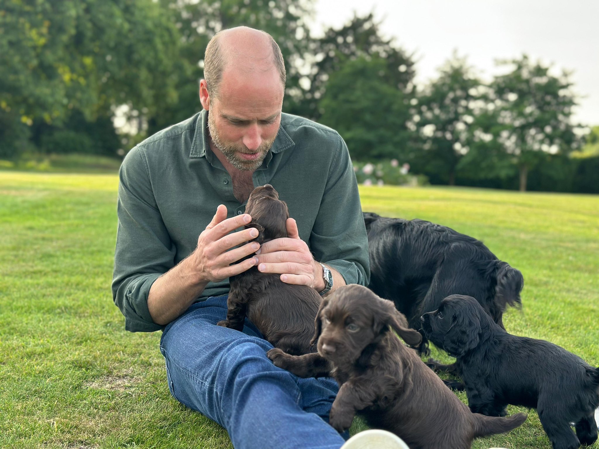 PETA attacks royal couple for breeding cocker pups