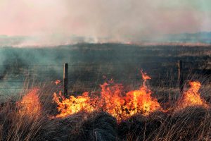 ‘Heroic’ keepers contain devastating Cairngorms wildfires