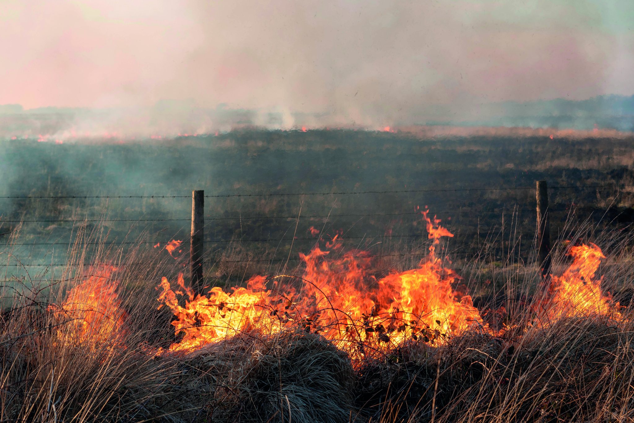 &#8216;Heroic&#8217; keepers contain devastating Cairngorms wildfires