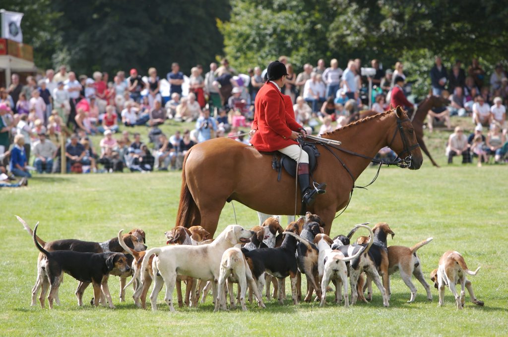 Welsh gundog displays and hound parades escape licence threat