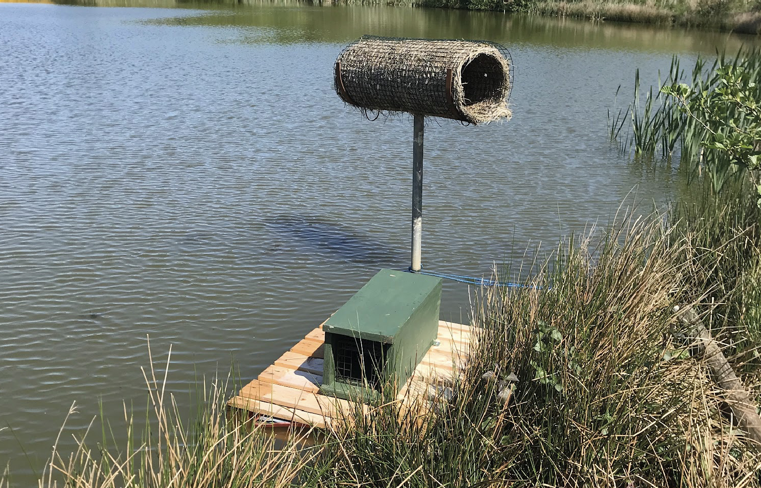 Devon fowlers launch cutting-edge mink traps