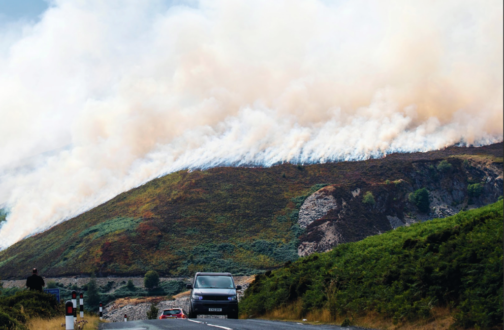Muirburn: time to fight fire with fire