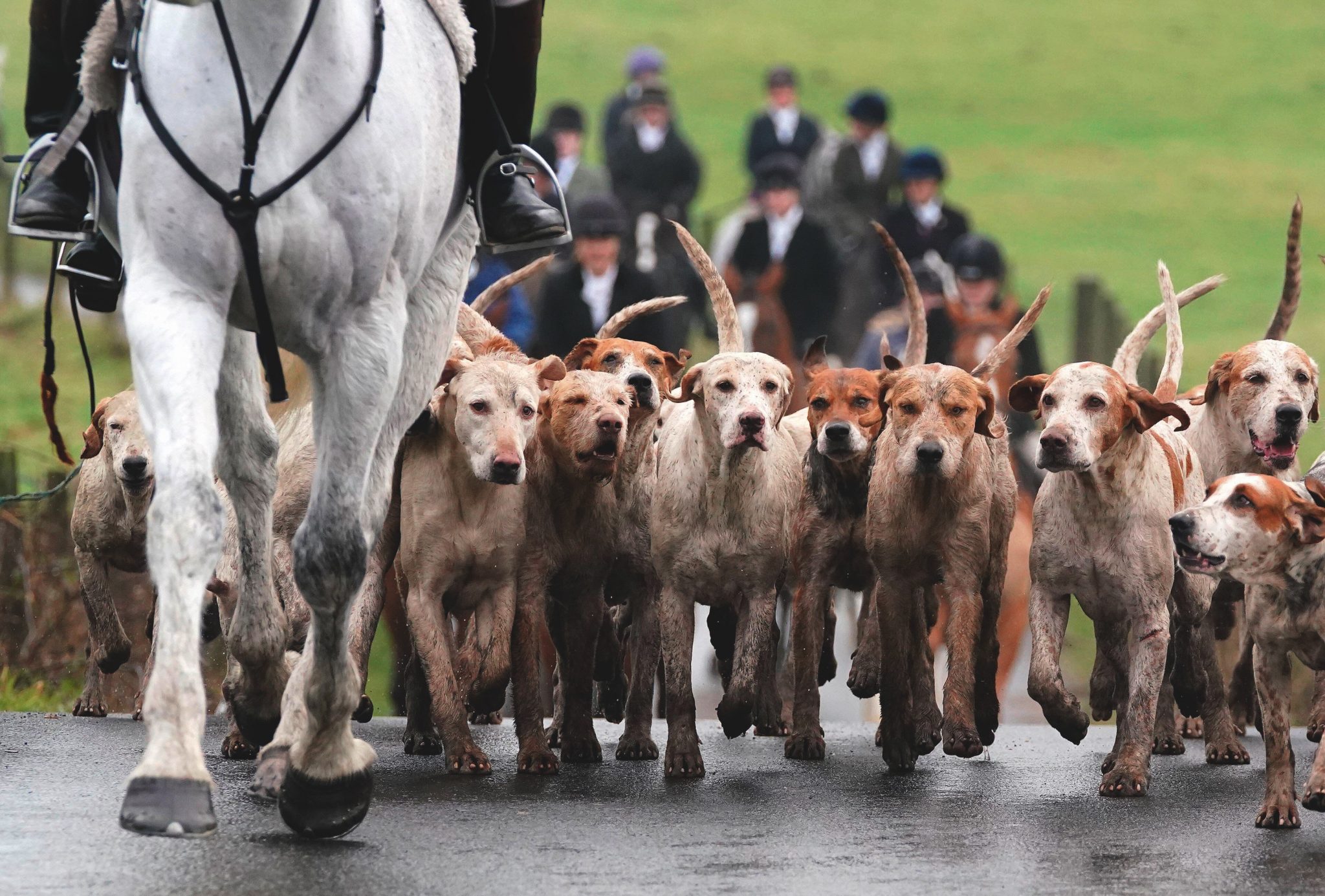 Hunt groups unite
