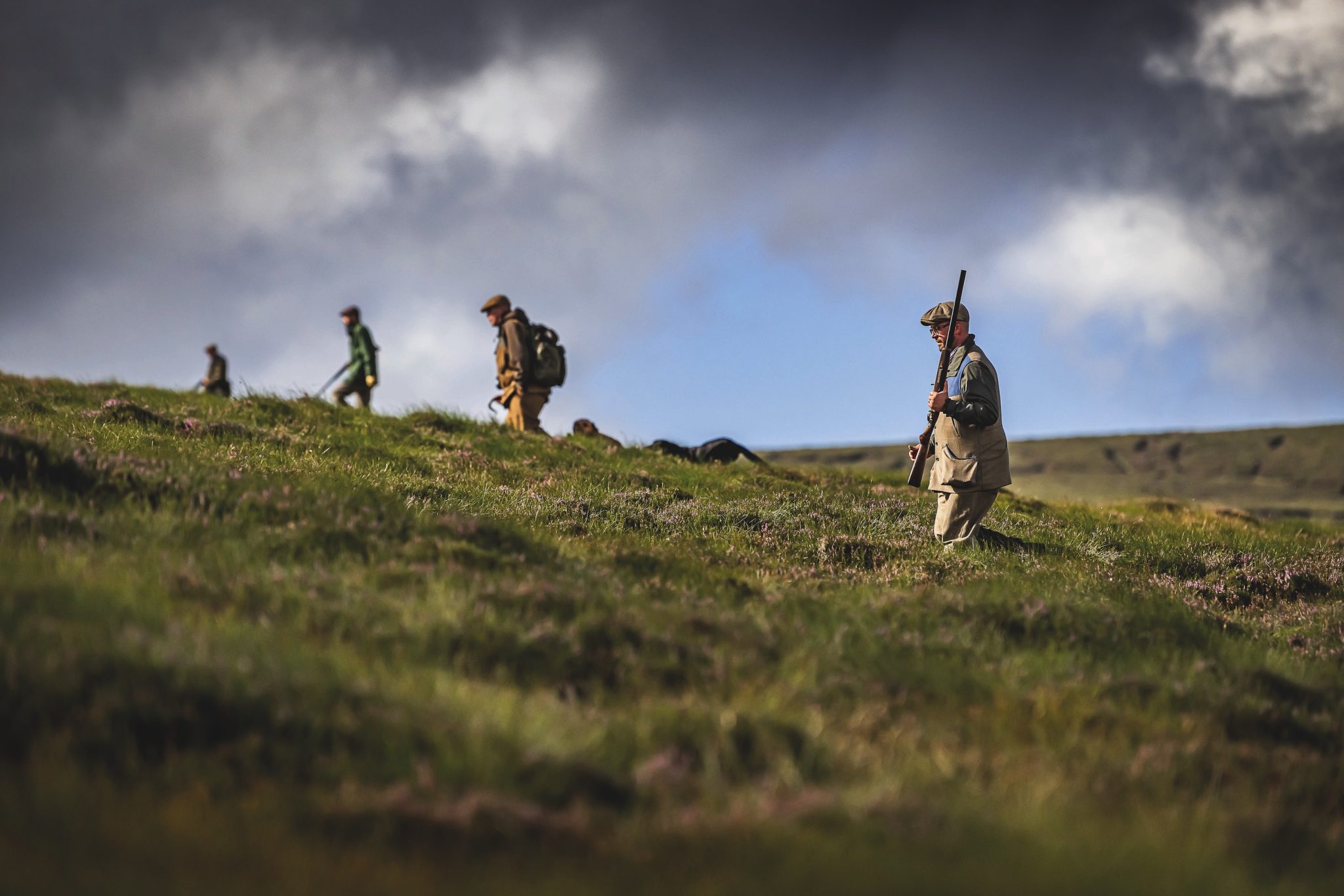 Glorious Twelfth: Walked‑Up Grouse at Dawn