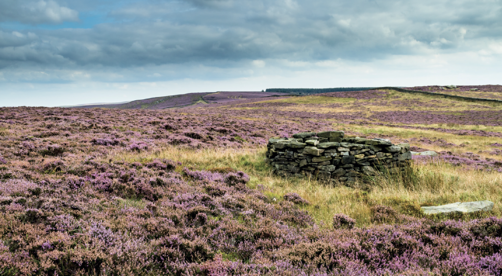 All the hidden graft behind a grouse day