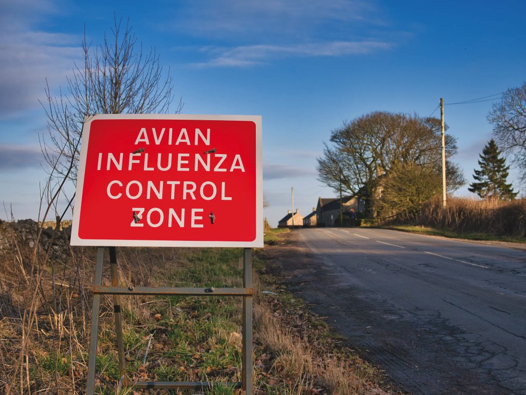 Hope for game sector as bird flu vaccination under consideration
