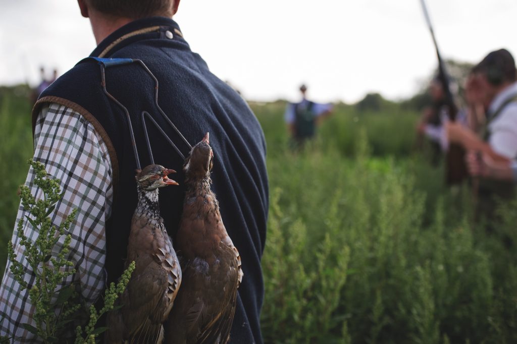 Shoots urged to explore new ways of getting game into food chain