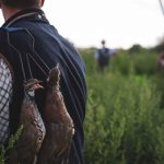 Explore new outlets for partridges, shoots urged