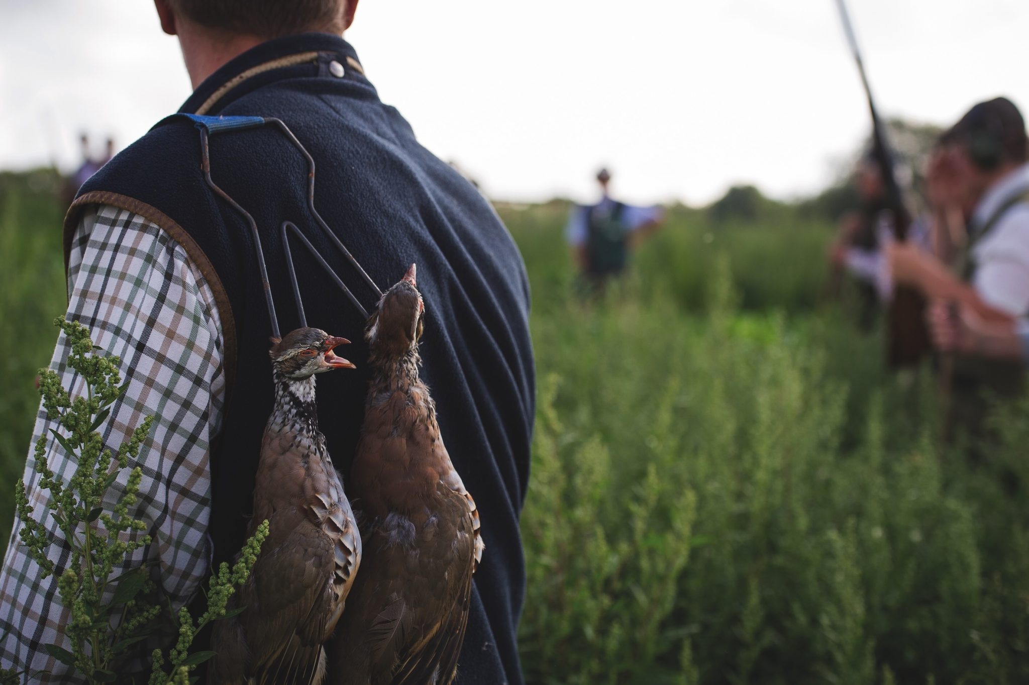 Shoots urged to explore new ways of getting game into food chain