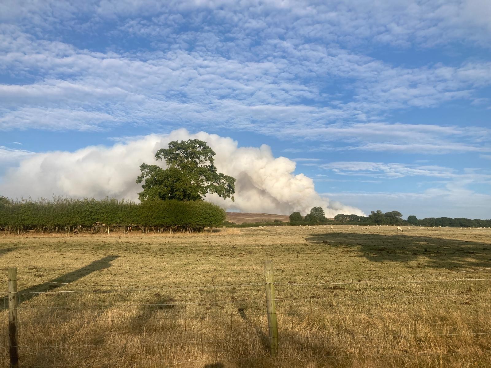 Langdale Moor wildfire contained after bombs detonate in blaze