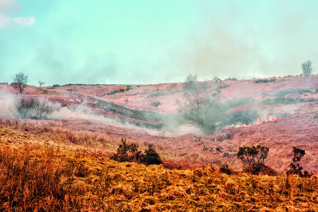 Defra’s burning ban risks England’s uplands as wildfire threat grows