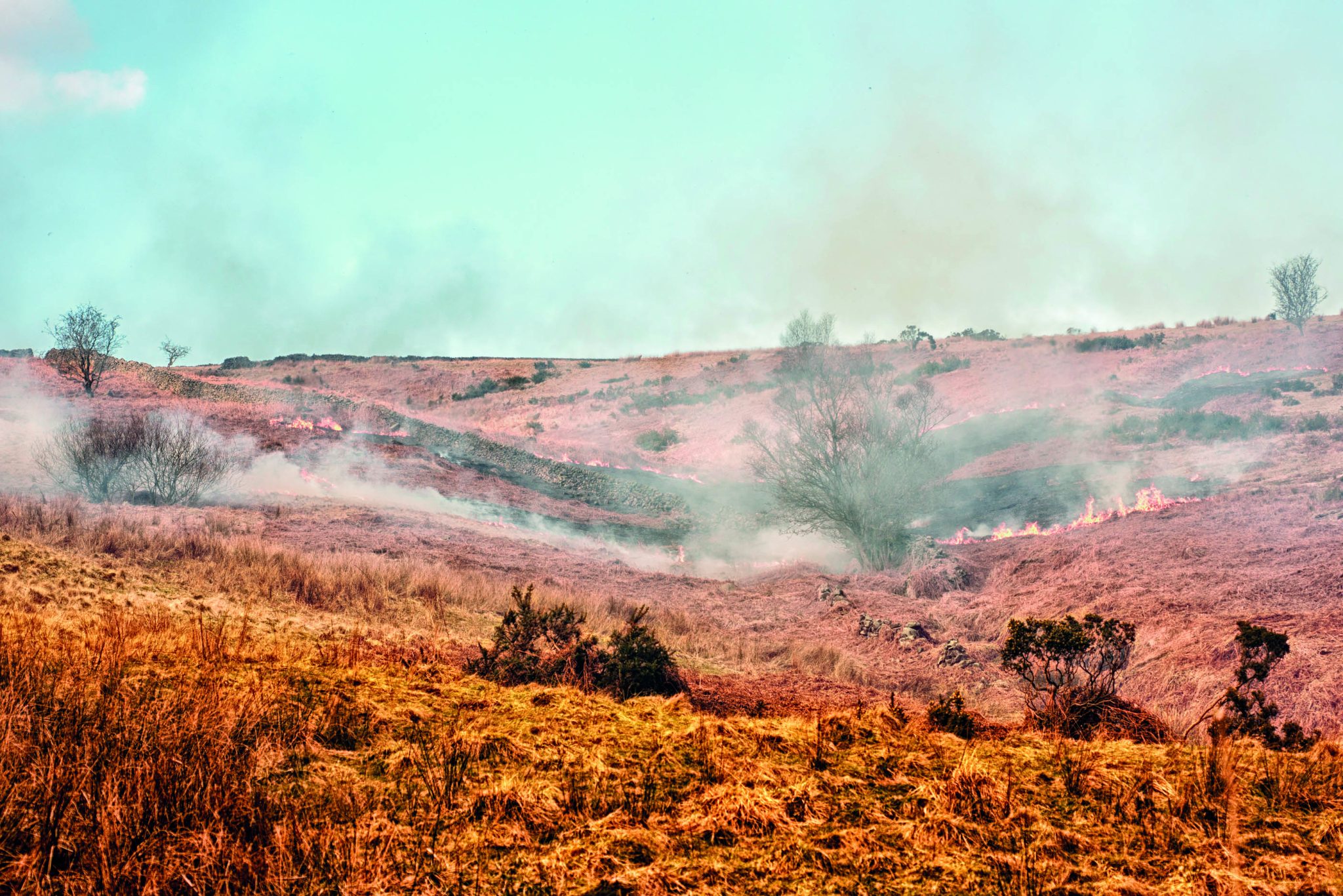 Defra’s burning ban risks England’s uplands as wildfire threat grows