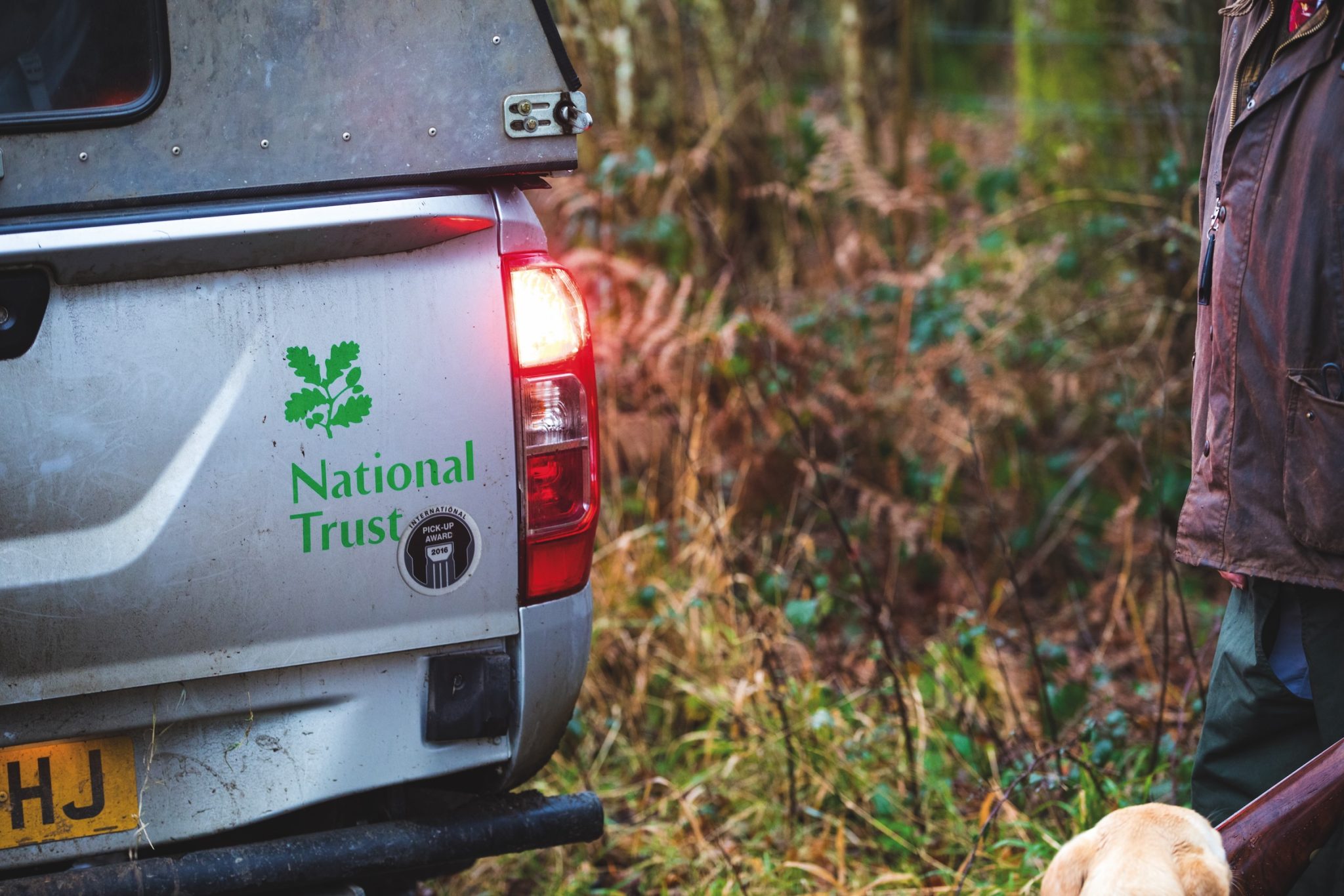 Shooting and nature recovery: BASC report shows conservation impact