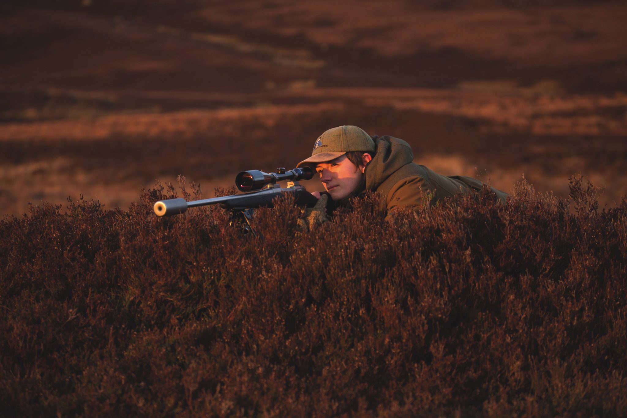 Calls grow for extended deer culling rights on Scottish moorland