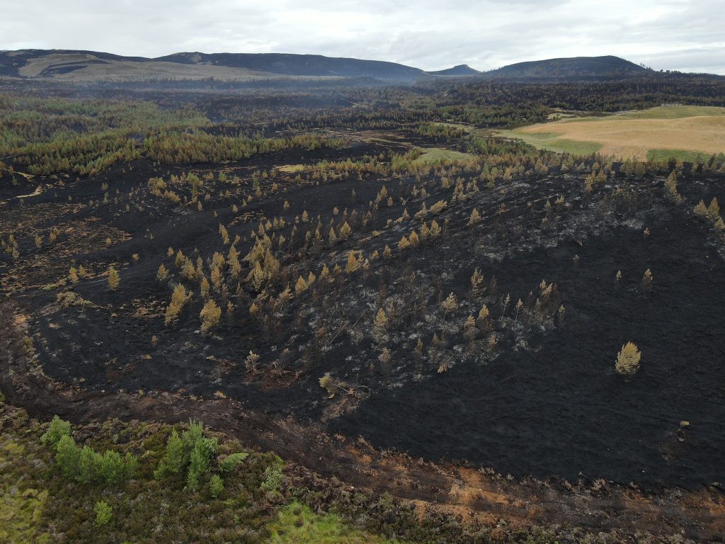 Record wildfire prompts Scottish U-turn on muirburn licensing