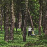 Is game shooting good for woodland?