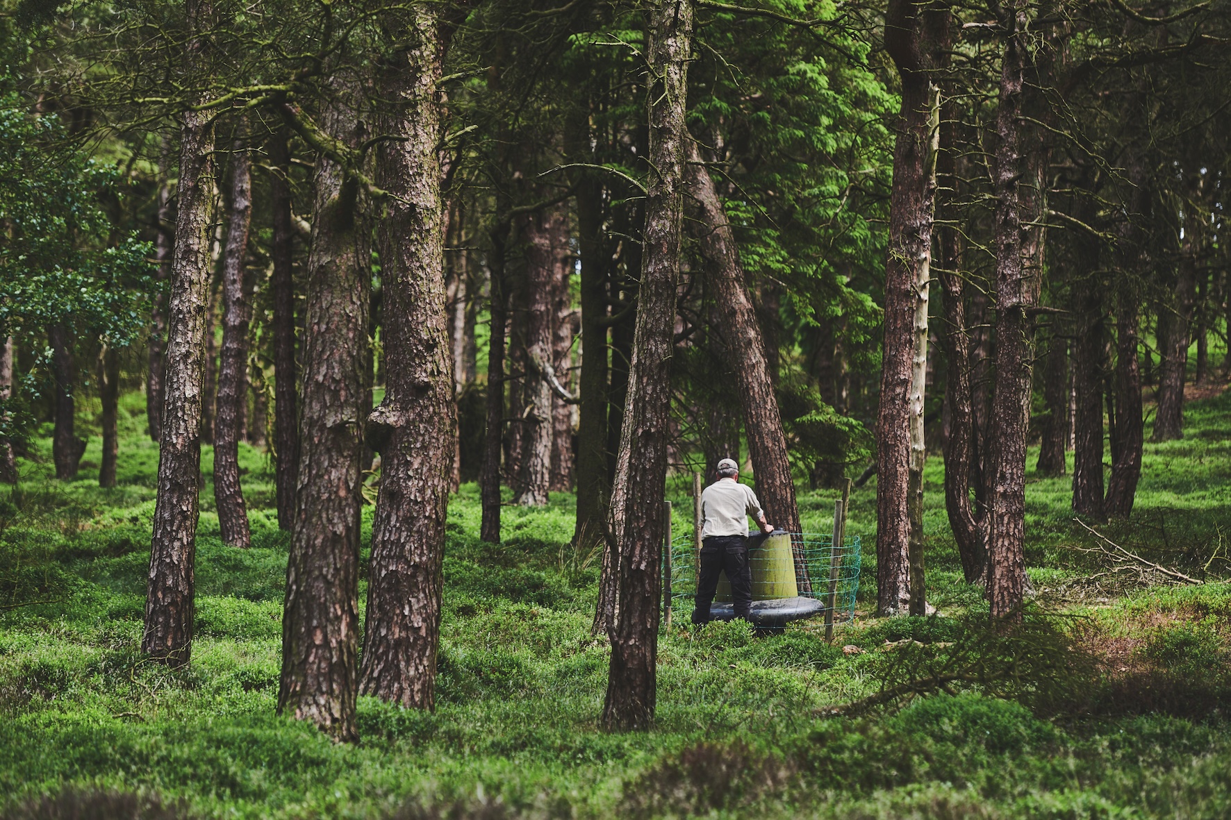 Is game shooting good for woodland?
