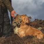 Getting started in rough shooting 