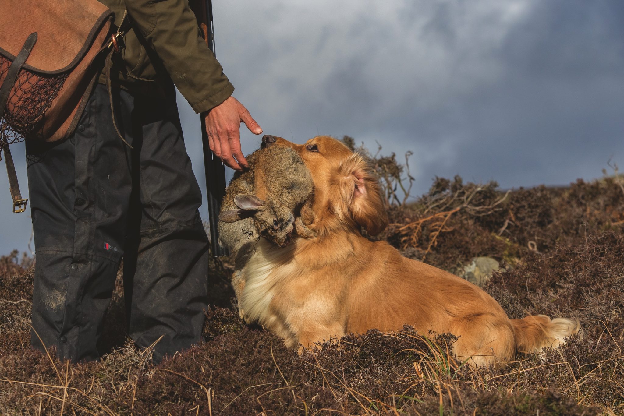 Getting started in rough shooting 