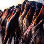 Game hubs rescue shoots while feeding thousands