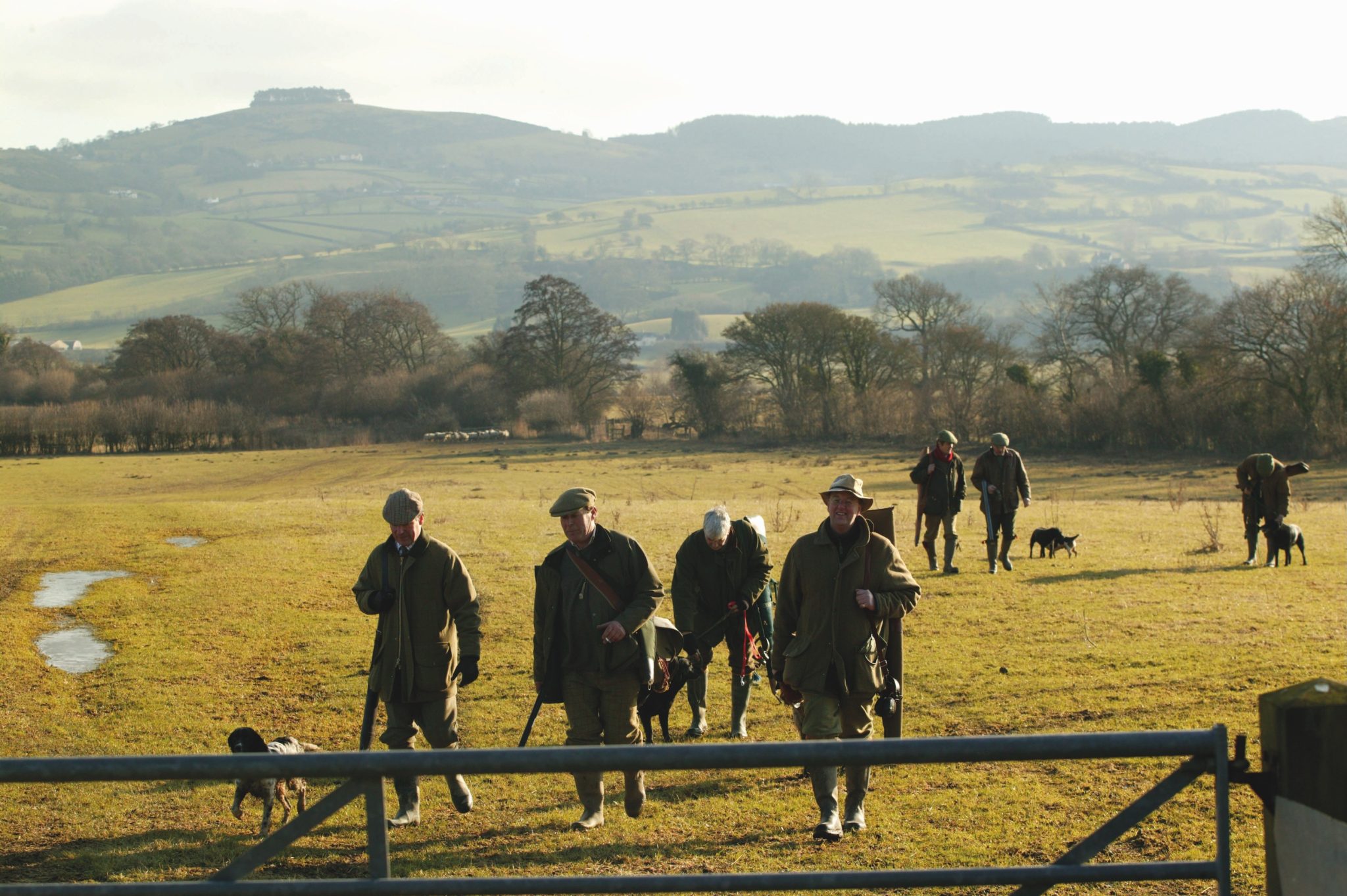 Shape the future of shooting with BASC