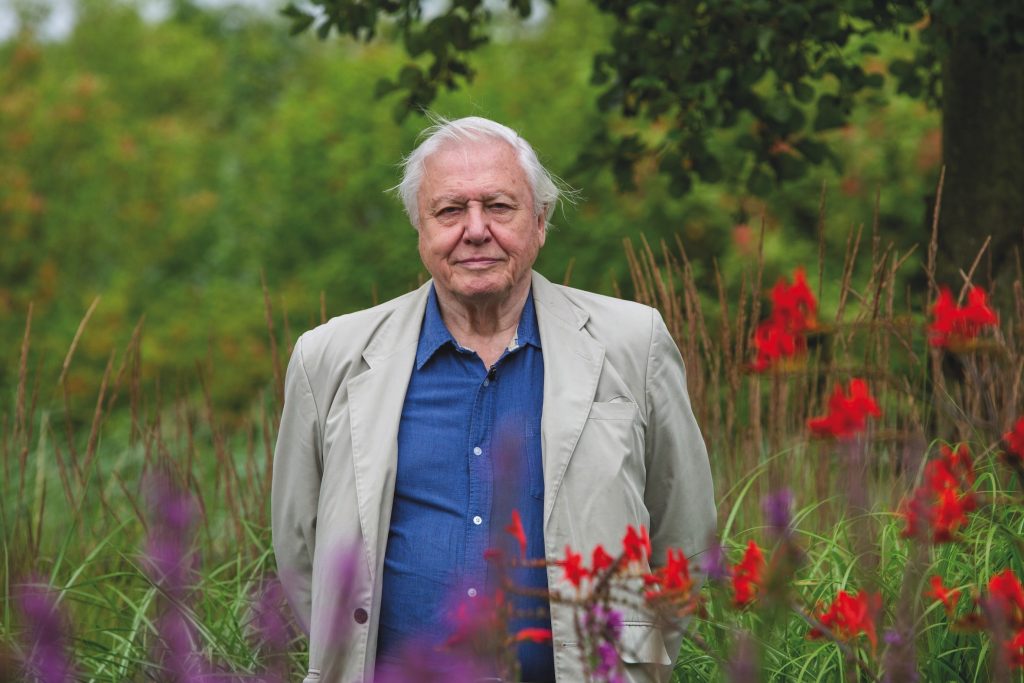 Does Rothbury Estate need saving from Sir David?
