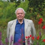 Does Rothbury Estate need saving from Sir David?
