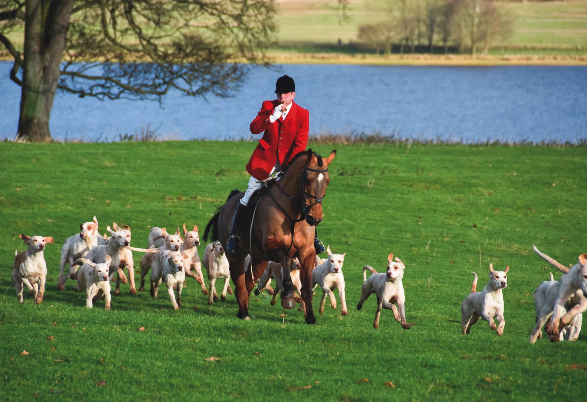 Behind bars: hunt sabs’ “spiteful” policy wish list