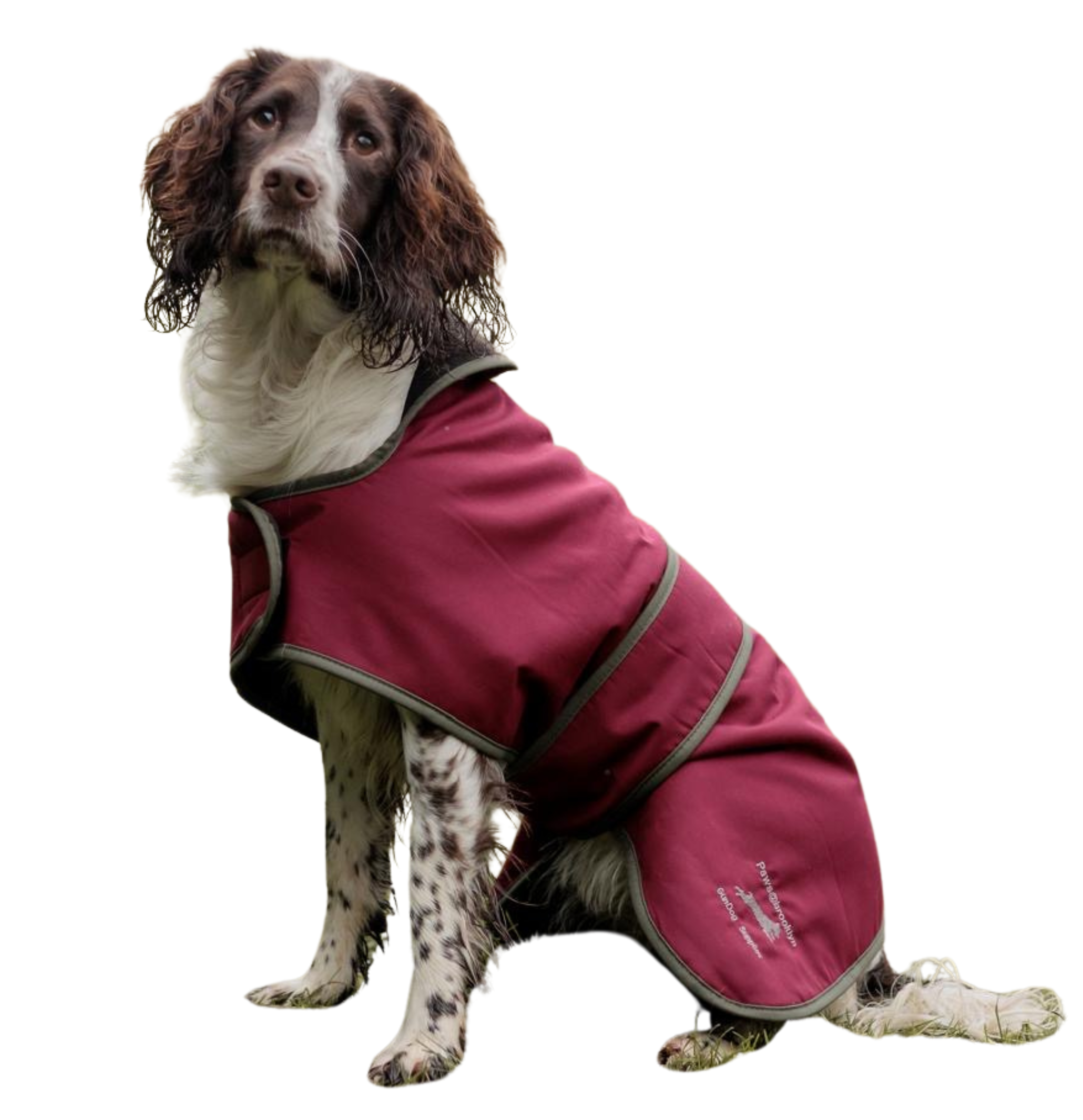 Gundog Journal feature