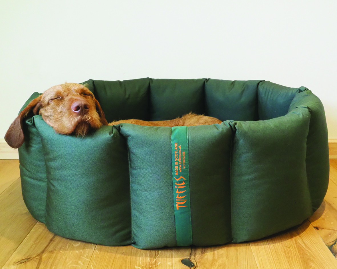 Newsletter for Gundog J and Shooting UK copy (1)