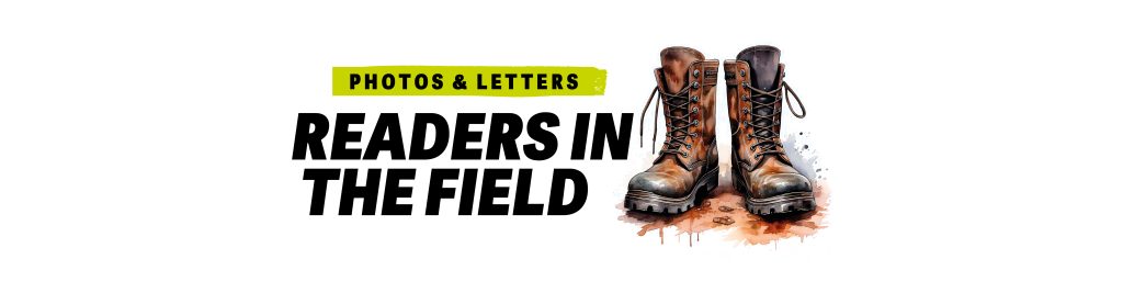 Your letters this month- November