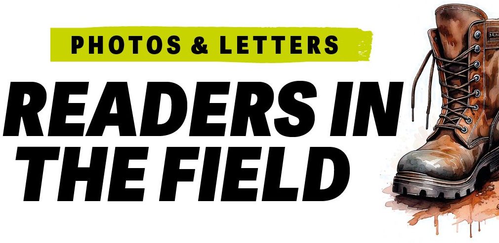 Your letters this month