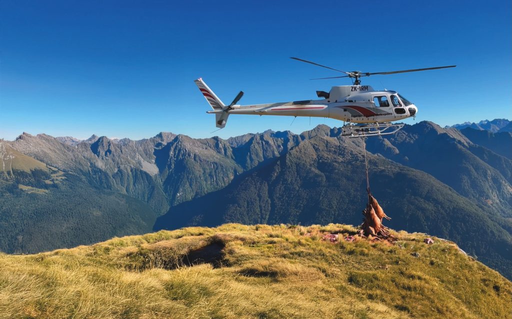 Wapiti Elk venison funds conservation