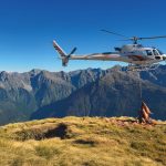 Wapiti Elk venison funds conservation