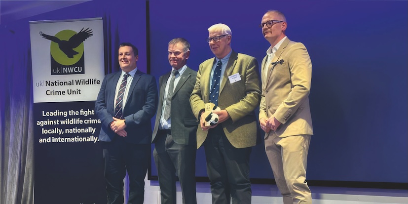 Modern poaching is organised crime 